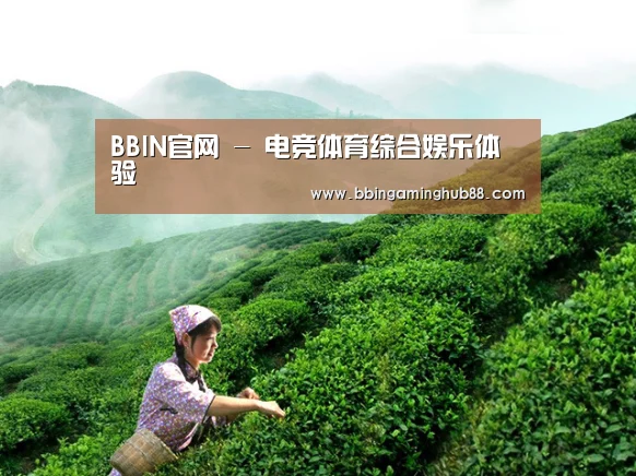 BBIN官网 - 电竞体育综合娱乐体验