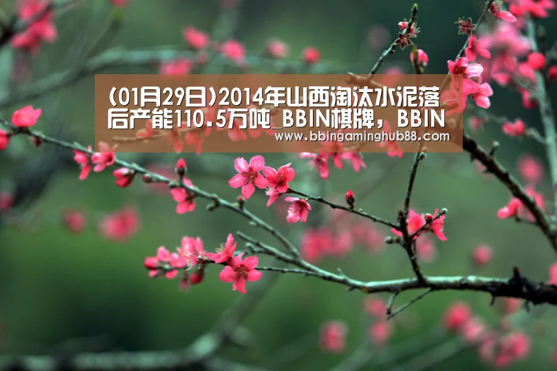 BBIN棋牌，BBIN下载，BBIN直播，BBIN捕鱼