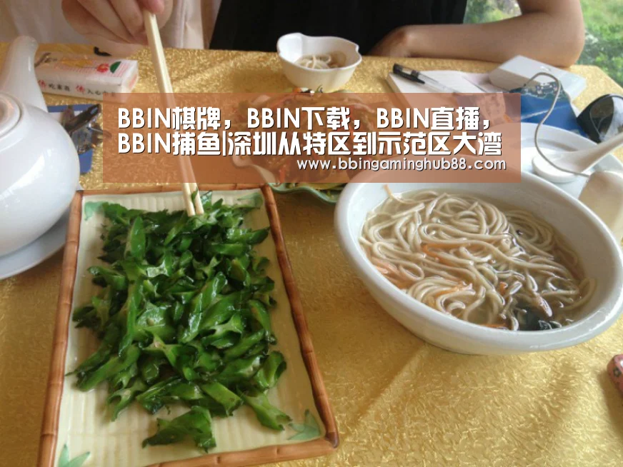 BBIN棋牌,BBIN下载,BBIN直播,BBIN捕鱼|深圳从特区到示范区大湾区一体化加速(图1) BBIN棋牌,BBIN下载,BBIN直播,BBIN捕鱼